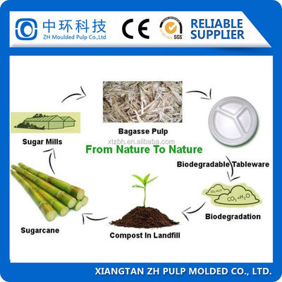 Molding Biodegradable Pulp Packaging Machine 440V Bagasse Plate Making