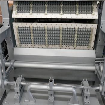 Fully Automatic Pulp Molding Tableware Machine 380v Disposable Tableware Making