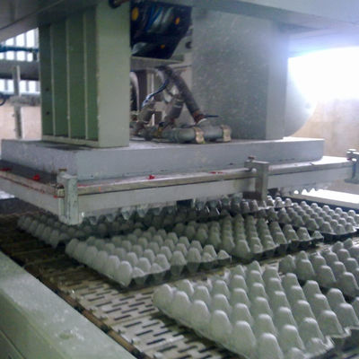 Farm Egg Box Forming Machine Carton Machinery Type Pulp Molding