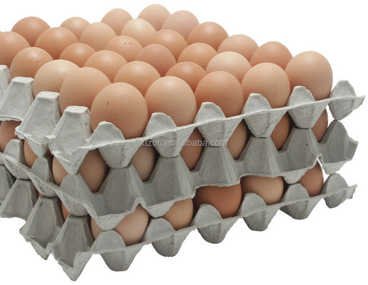 Full Automatic Egg Box Machine , Egg Crate Manufacturing Machine 115kw