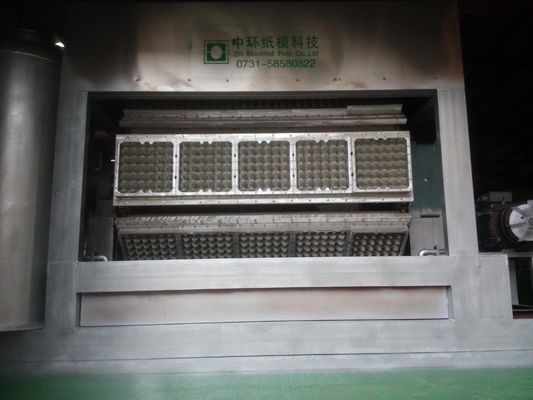 High Efficiency Pulp Egg Tray Machine Fully Automatic Rotary