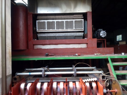 Waste Paper Pulp Egg Tray Machine Double Rotary Forming High Effective