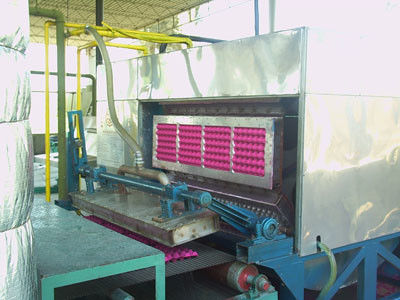 Waste Paper Pulp Egg Tray Making Machine , Recycling Small Egg Tray Machine
