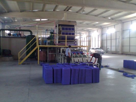 CE Certified Pulp Egg Tray Machine Customized Fruit Tray Machine