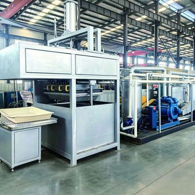 Low Energy Consumption Pulp Molding Production Line For Paper Tray Manufacturing