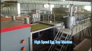 High Speed Automatic Egg Tray Making Machine Solution
