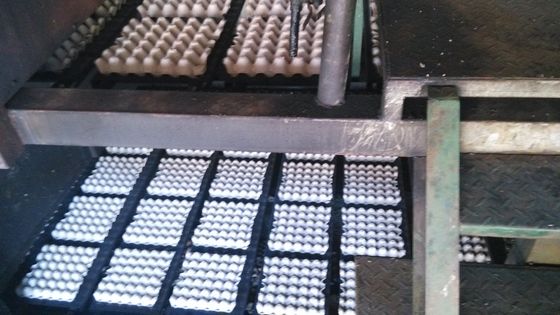 High Efficiency Pulp Egg Tray Machine Fully Automatic Rotary